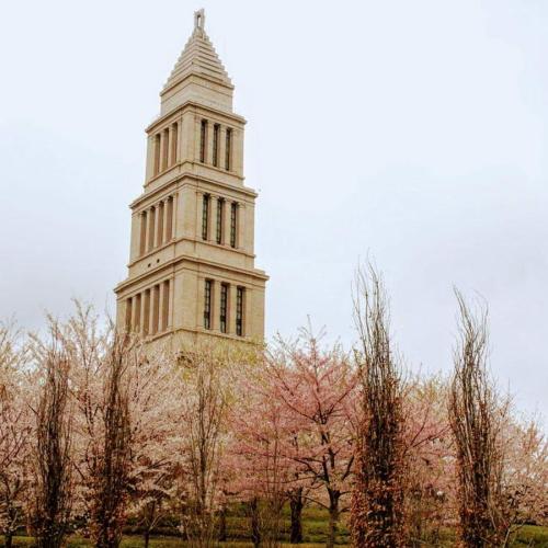 Lorem ipsum dolor sit amet,